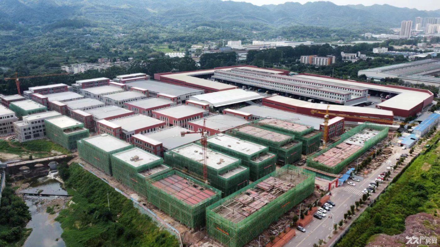 双福新区独栋厂房,送露台,可按揭 - 5