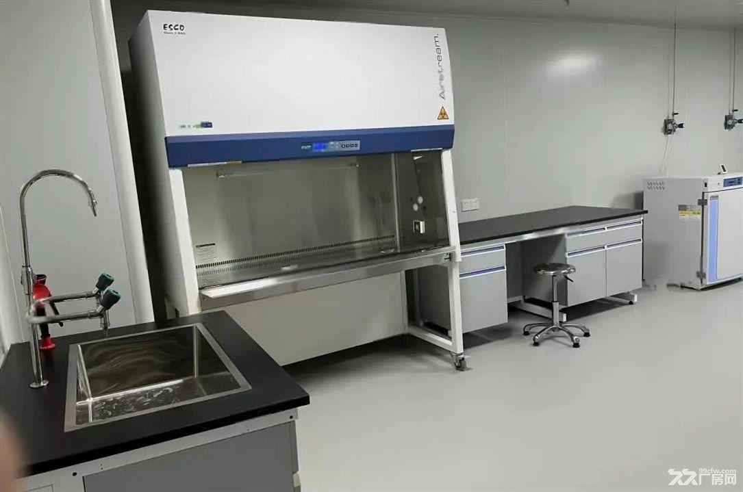 周浦医谷50平米起 P2实验室 细胞房 理化实验室 办公工位 - 7