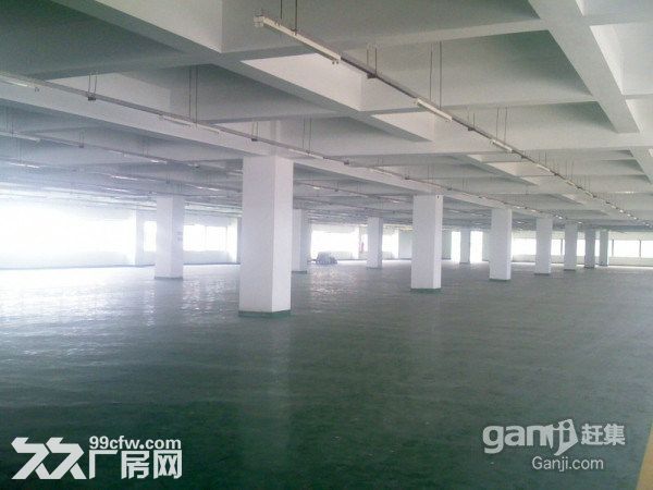 龙岗独院厂房5000平米宿舍2000平米招租 - 2