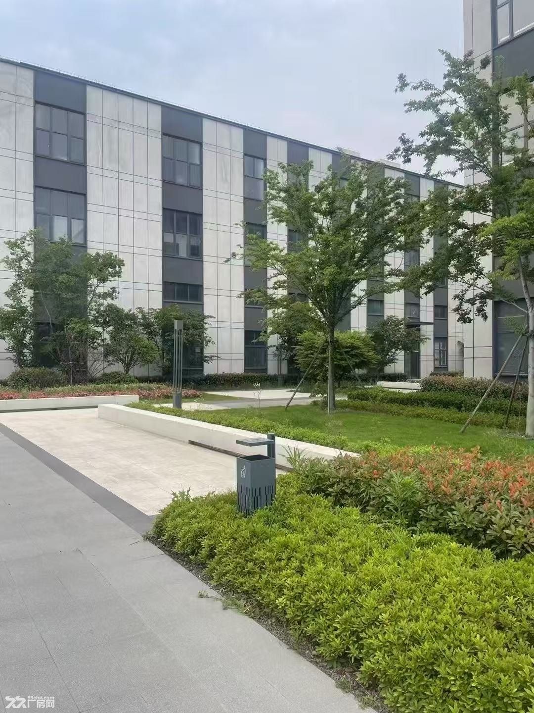 绍兴全新厂房，可租可售价格优惠 - 5