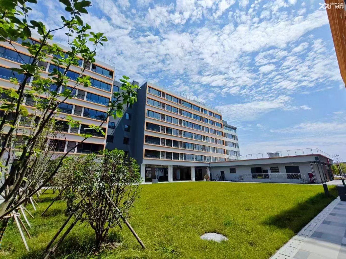 奉贤金汇园区招租 450-2万方带办公公寓商铺现房可大车业态全 - 3