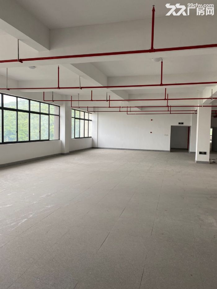 滨江标准厂房招租,地铁5号线滨康站,层高4.5米到7 - 3