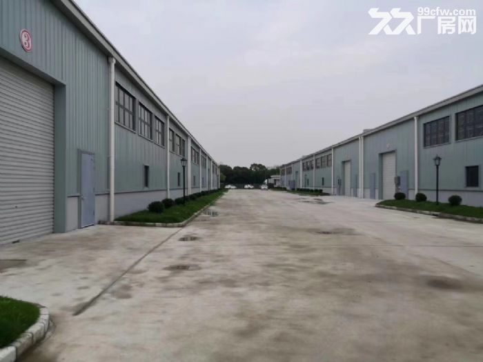 嘉闵高架 莘庄工业区新建单层仓库 600平1200平1800 - 6