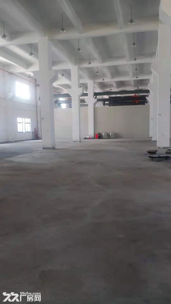 园区 胜浦一楼700平单层 可架行车 - 3