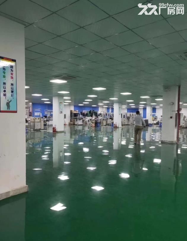 花都新华独院标准厂房,空地大,可办环评,8万平,可分租 - 4