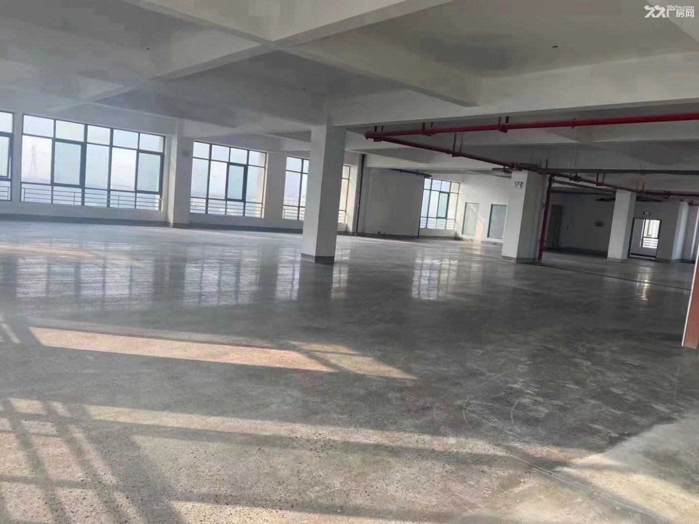 洛阳高新区火炬桥北个位数厂房出租 - 5