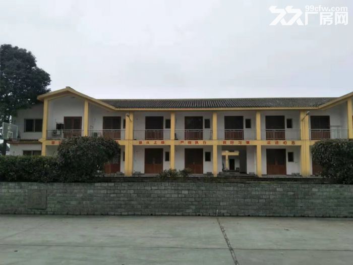成都全新单层钢结构厂房出租 - 2