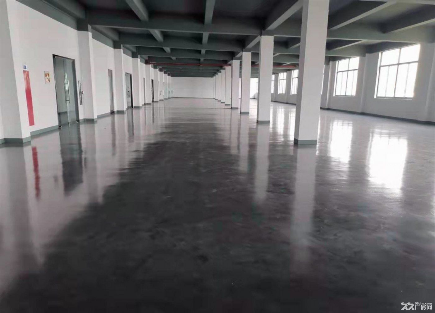 房东直租：意邦附近 3000平 可分割 独院 原房东 交通便利 可食宿 - 3