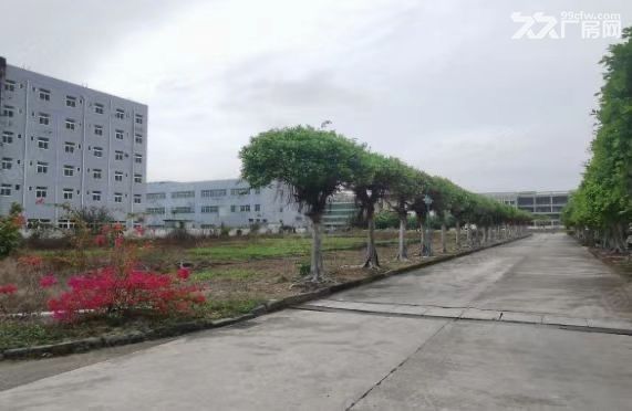 三灶科技园厂房占地面积46546平方，位置好，大马路， - 5