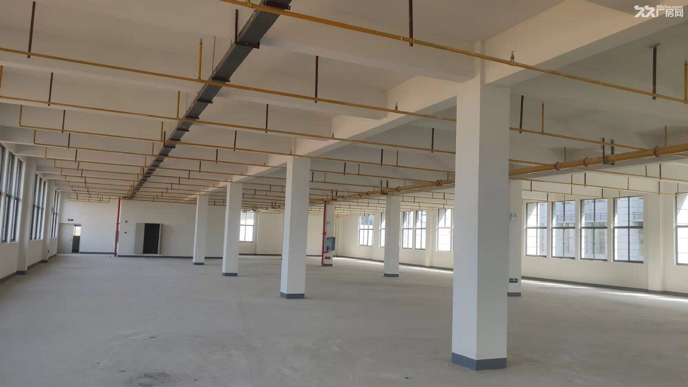 横店1300平米11元适合仓储轻工办公等配套公寓宿舍食堂 - 3