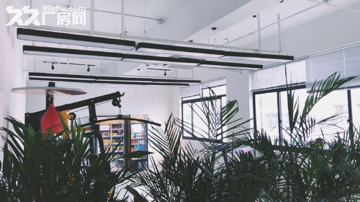 滨江带装修1000方,无转让费直接拎包,适合电商科技类 - 8
