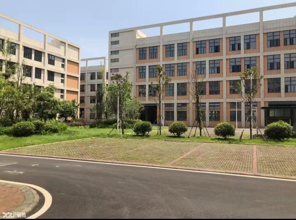 黄陂优质框架厂房仓库面积灵活,优价直租,可分租整租 - 4
