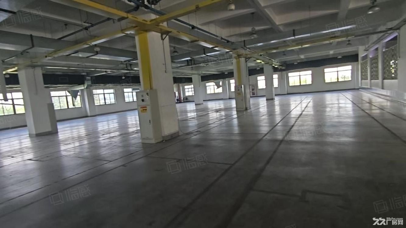 康桥新园区 底楼7.6米 半导体组装 仓储生产 配5吨货梯