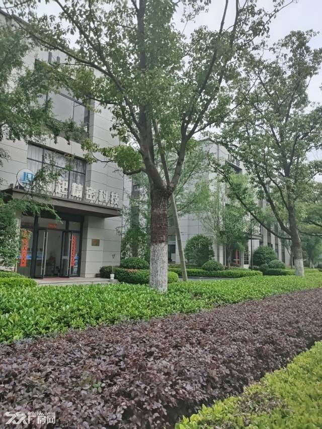 框架混凝土结构,现房出售,1350-3200㎡,配套齐全 - 2