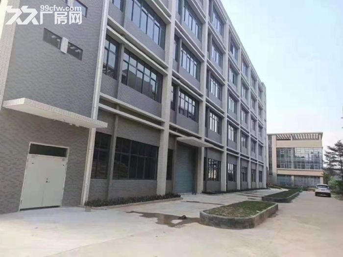带红本主干道边上 凤岗近深圳独院厂房出租17900平 - 5