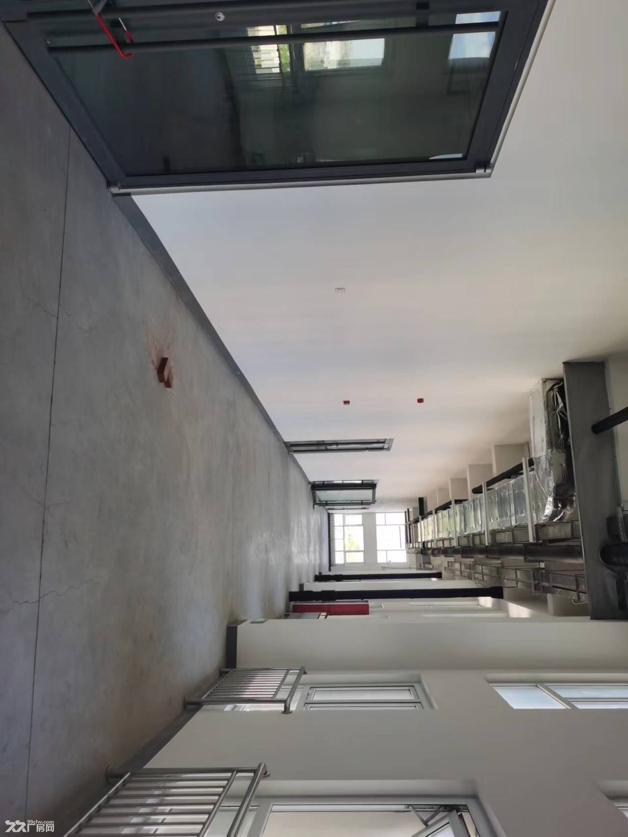 青岛城阳产业园招商,工业厂房出租,适应行业广泛 - 3