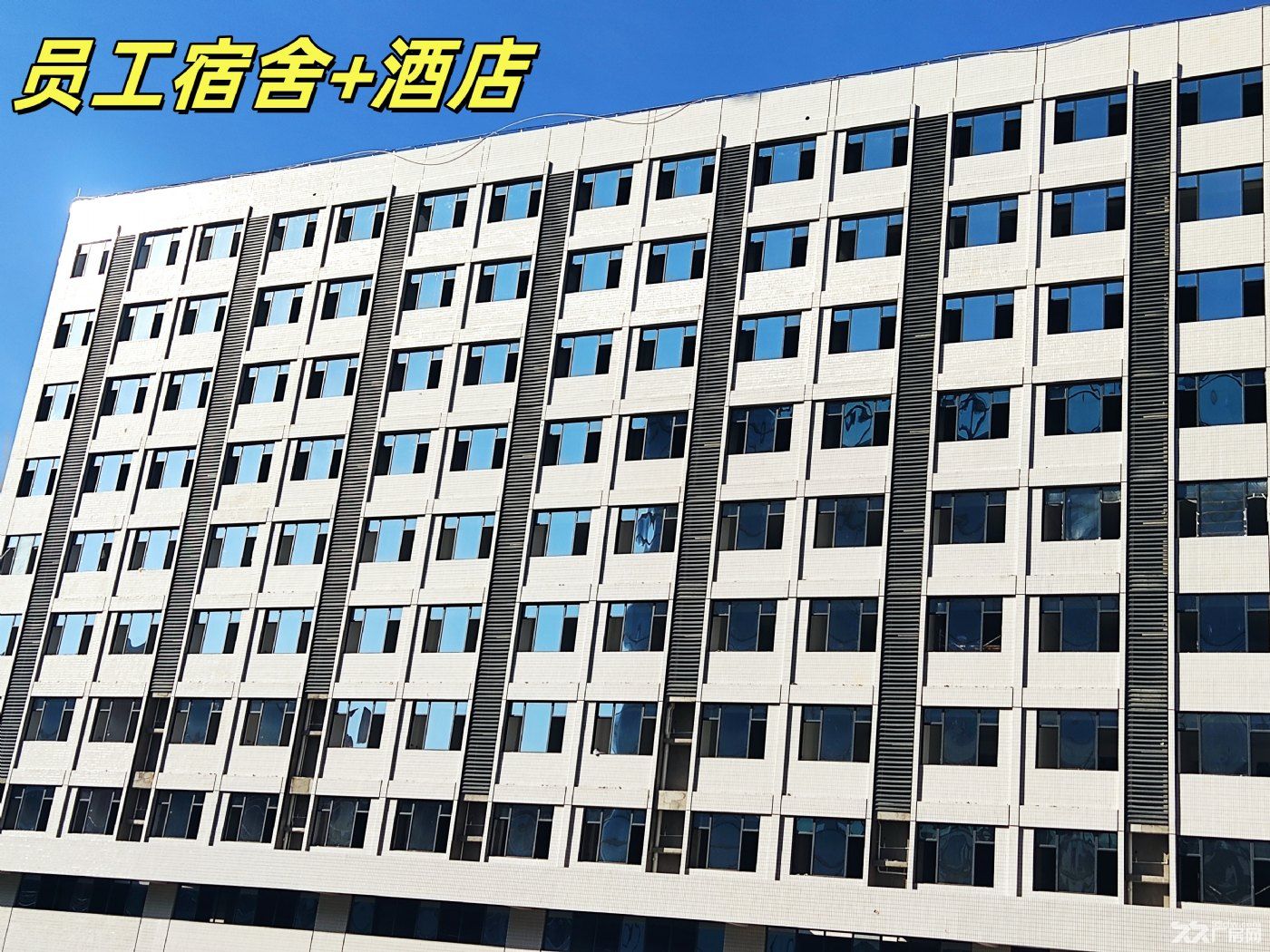 国有二类全新园区厂房出租 - 2