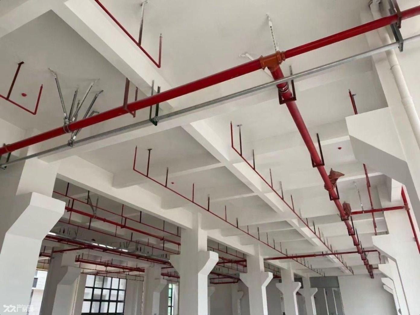 深圳宝安科技园全新红本工业用地厂房研发楼现房300平售起 - 5