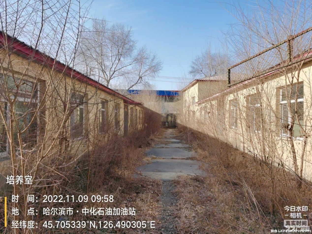 哈药集团中药二厂(黑鱼泡厂区)位于道里区哈双北路五公里 - 6