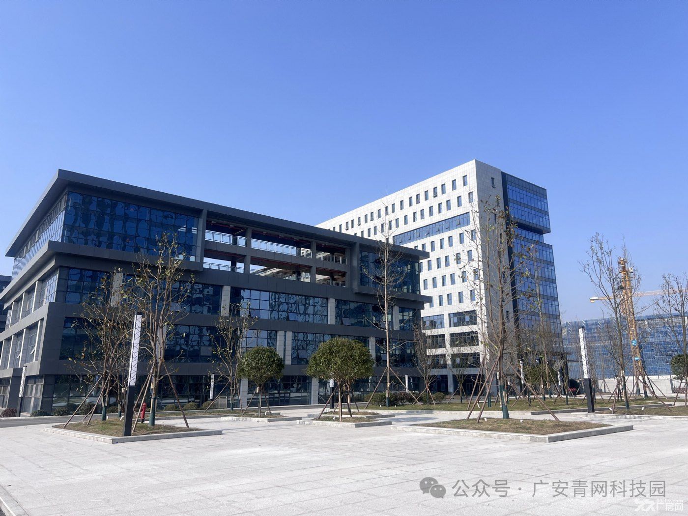 广安临港经开区甲级厂房写字楼出租 - 7