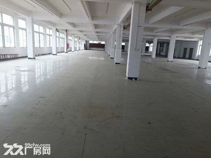 出租集美灌口标准独幢厂房8000平,单层2000,独门独院 更新于2019-09
