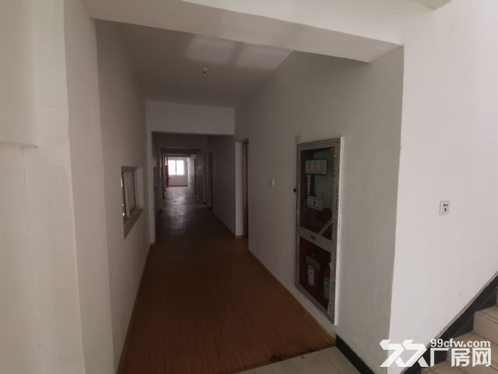 个人出租南京六合化工园电镀厂1165平 - 4