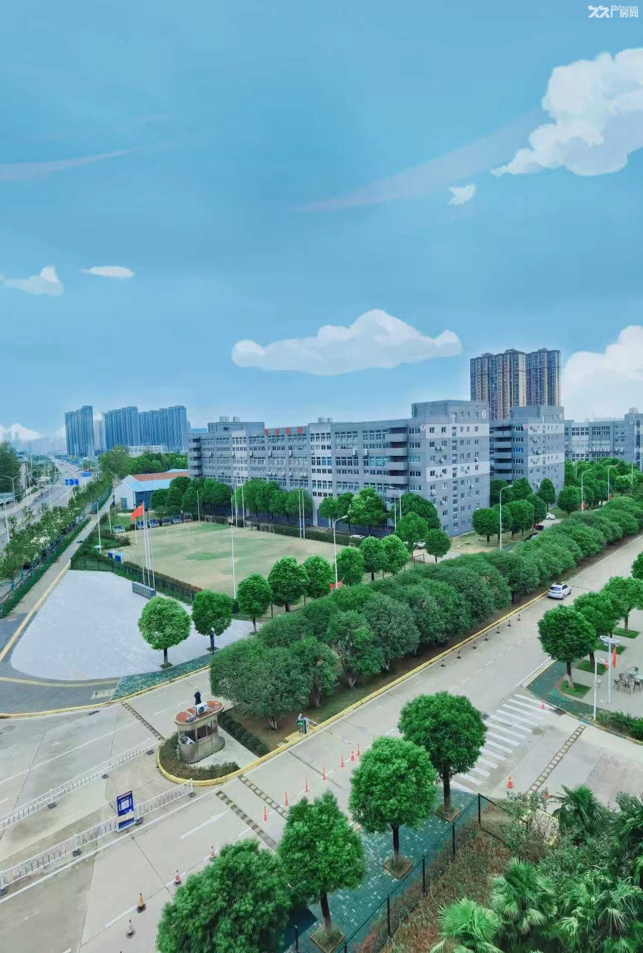 江岸后湖200-5000平厂房环境优美配套齐全