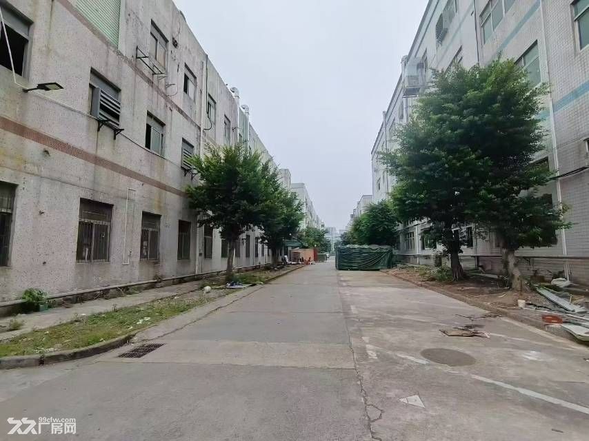 深圳公明原房东独院3650平出租 - 2