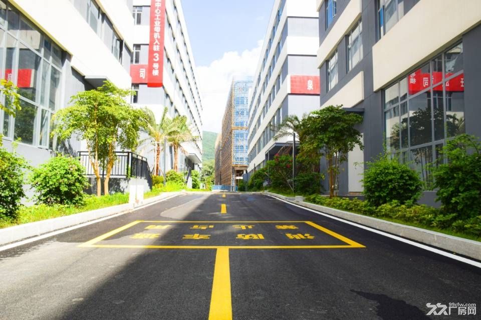 洛江区双阳街道海丝数字城4400国企厂房出售 - 6