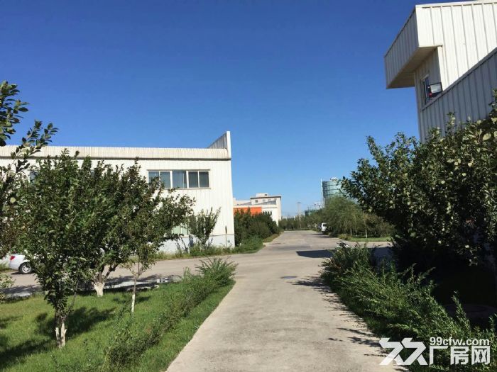 沈阳美国工业村钢结构标准厂房出租电话：