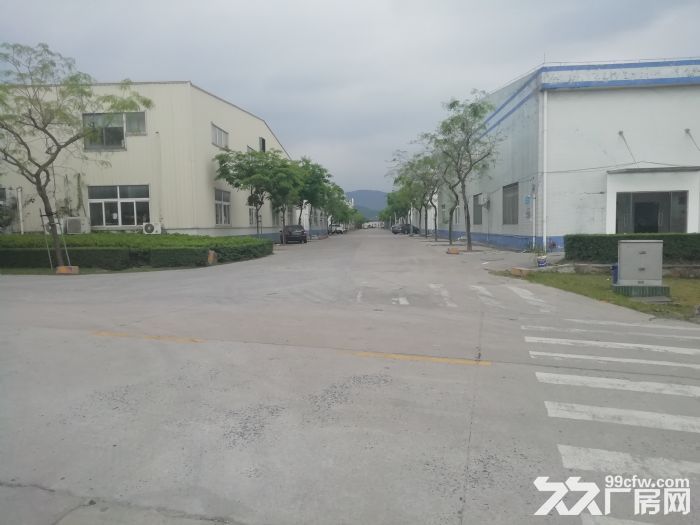 台山台城工业厂房10000平方出租，可分租1000方起租 - 2