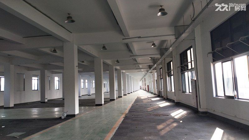 青浦朱家角康园路厂房出租非中介 - 4