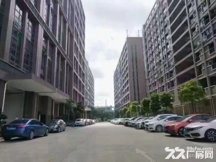 深圳松岗高速出口原房东红本高新产业园研发厂房优惠招租