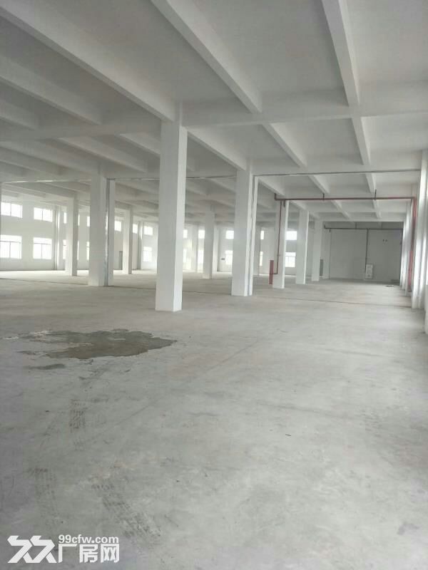 专业代理江门各区厂房招租 - 2