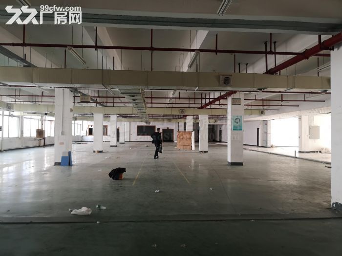 黄埔区科学城南云路旁6500平标准厂房招租，可分租，性价比高 - 2
