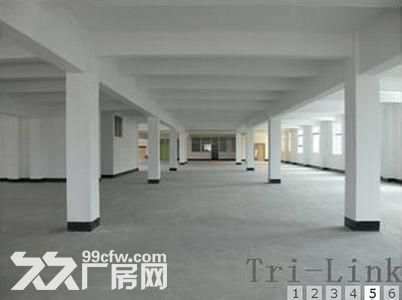 个人.上坊二楼6000平米.厂房.仓库.有2部2吨货梯 - 4