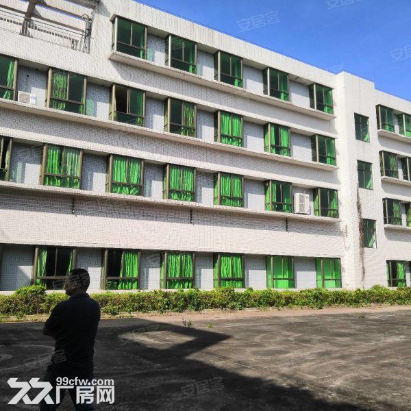 江门台山独院单一层带牛角12米高厂房20000平方招租 - 7