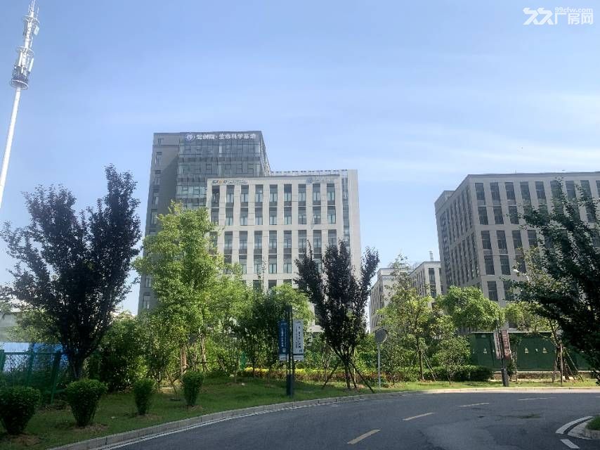 武汉光谷核心区可环评直接排污生物专业园区 - 2