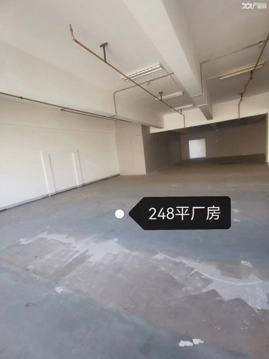 东湖高新三环边全新独院厂房40—1451平米自由分割出租 - 3