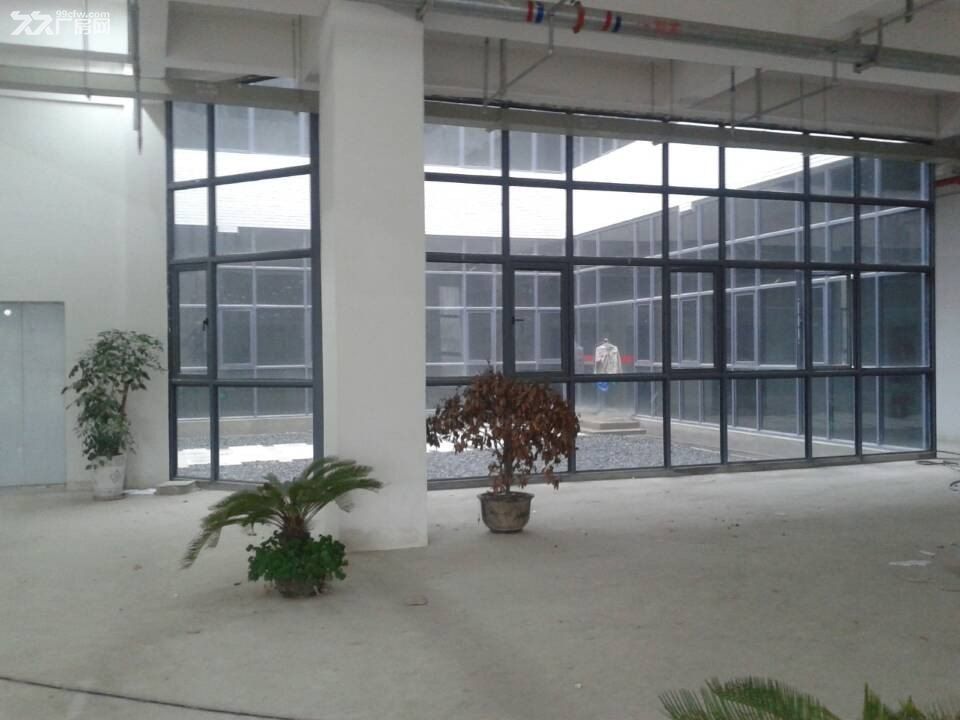闵行一楼厂房 实验室 医药器械高端智能浦江漕河泾园 - 7