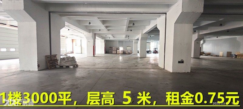 奉贤区奉国路398号标准厂房出租 非中介 - 7