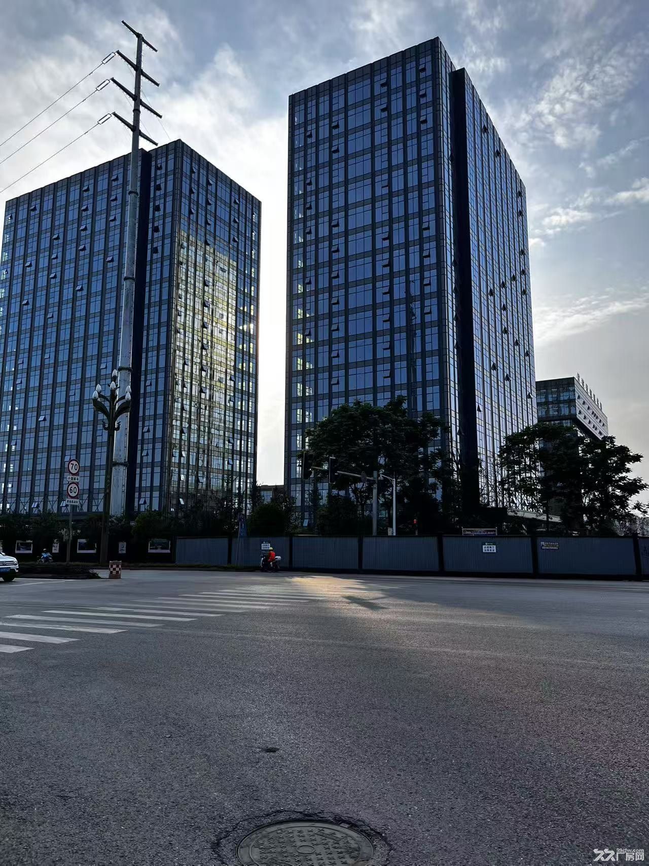 奥体中心对面，标准厂房1375平招租，可以整租可分租
