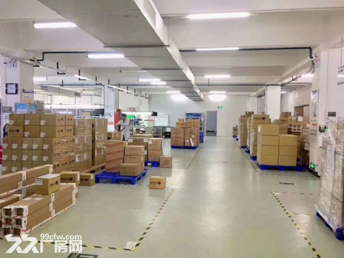 沙井新桥高速口村委独院4500平厂房招租，高6米，精装办公室、仓库，空地大 - 6