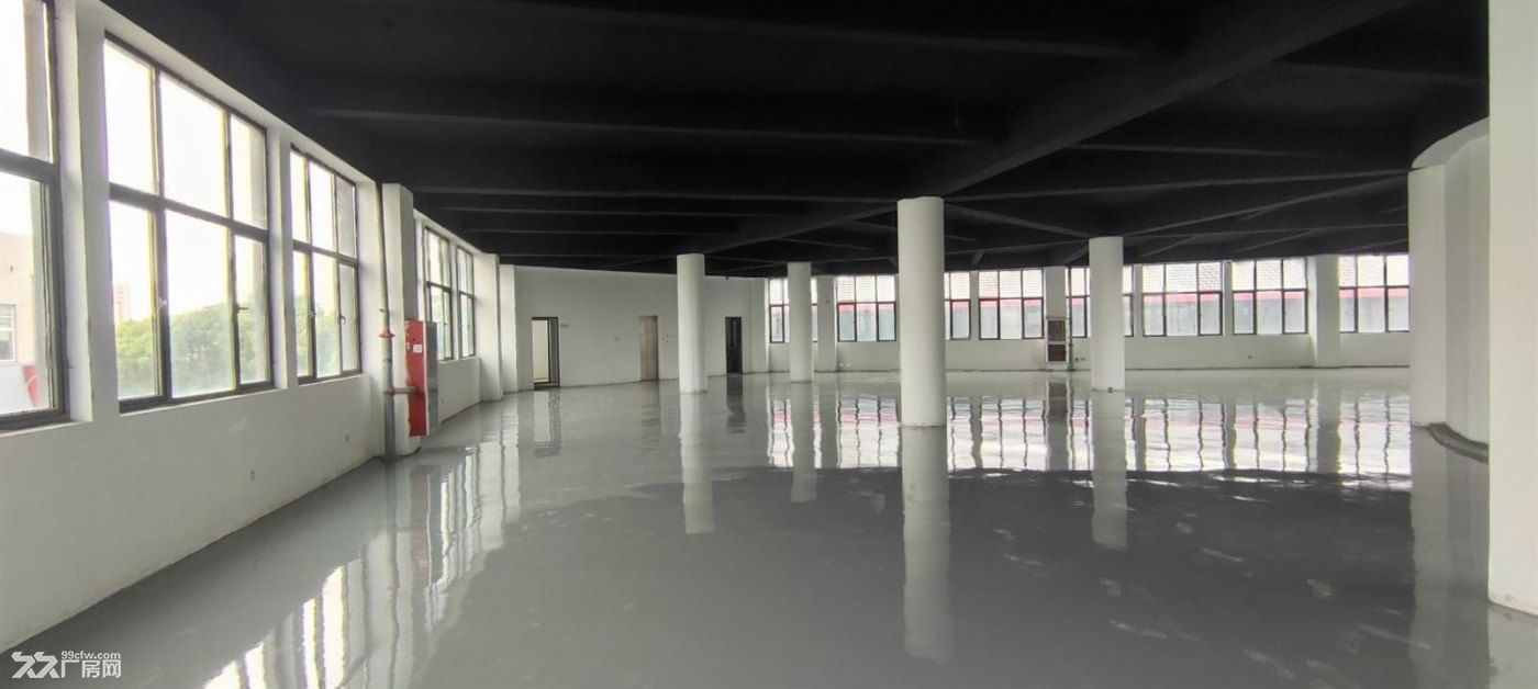 浦江电商仓库整层380平,200平价格优惠鞋服展示办公用品店 - 4