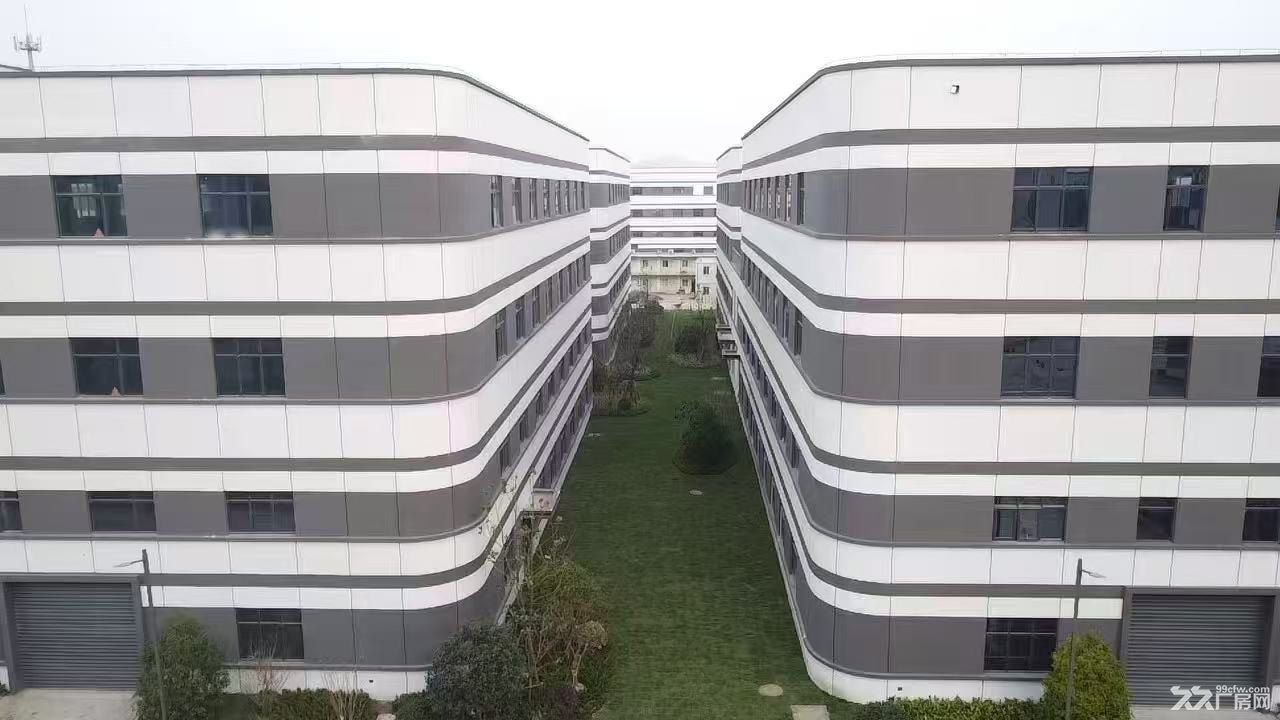 天宁区全新国土工业厂房,可环评可按揭 - 4