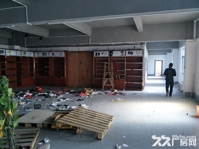 凤岗竹尾田独门独院厂房便宜出租5200平 形像好 - 3