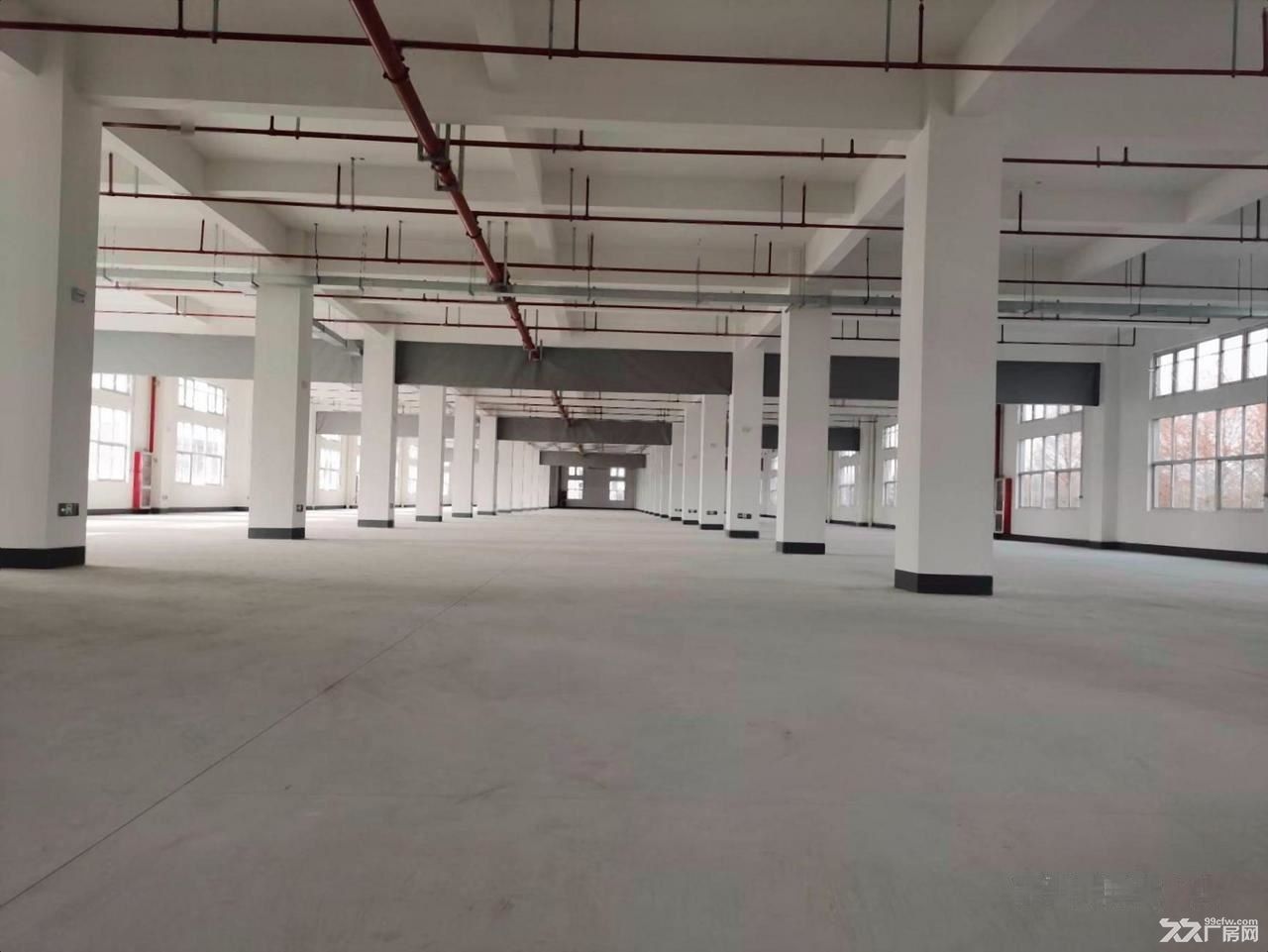 地铁口独门独院厂房仓库 办公 电商直播 展厅仓储物流组装加工