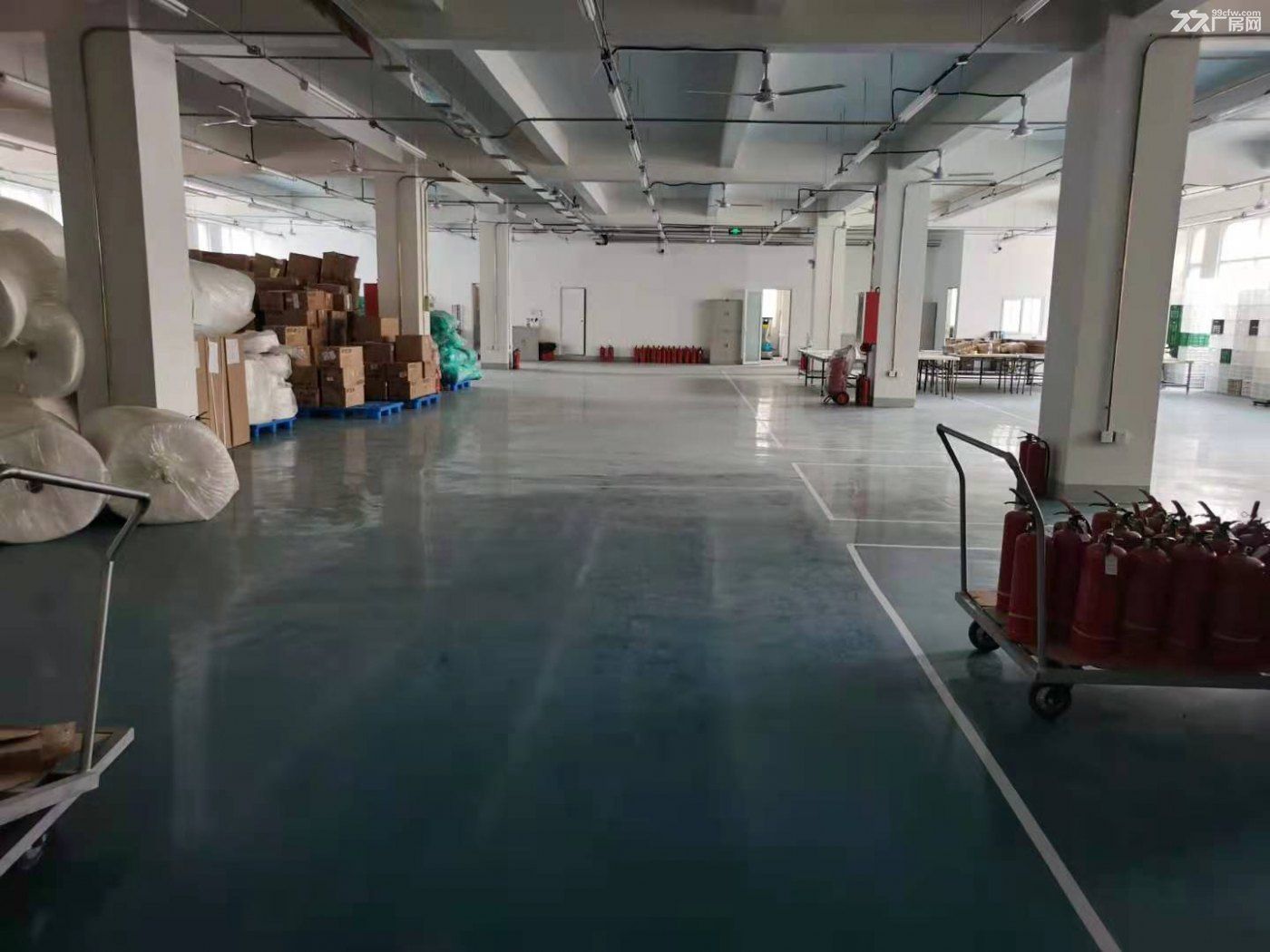 标准框架厂房,生产研发组装加工实验室均可 - 5