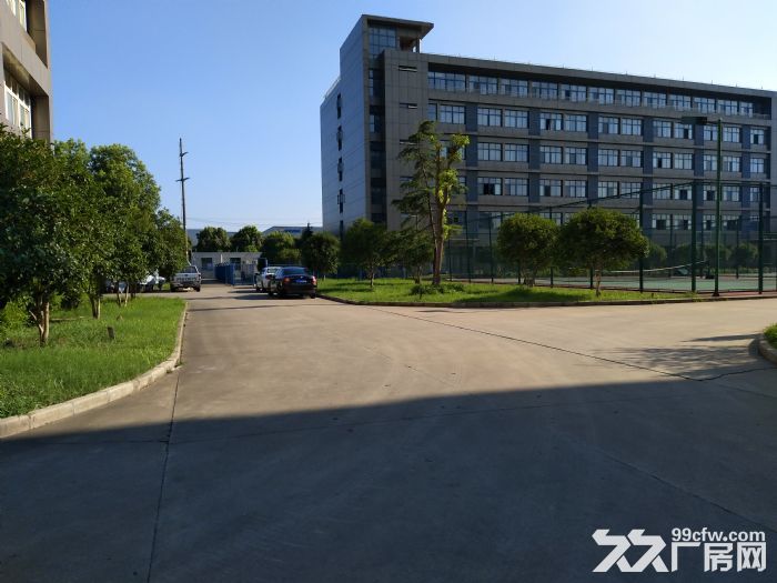 出租颛桥莲花南路向阳路1500平米厂房单层高10米仓库 - 2