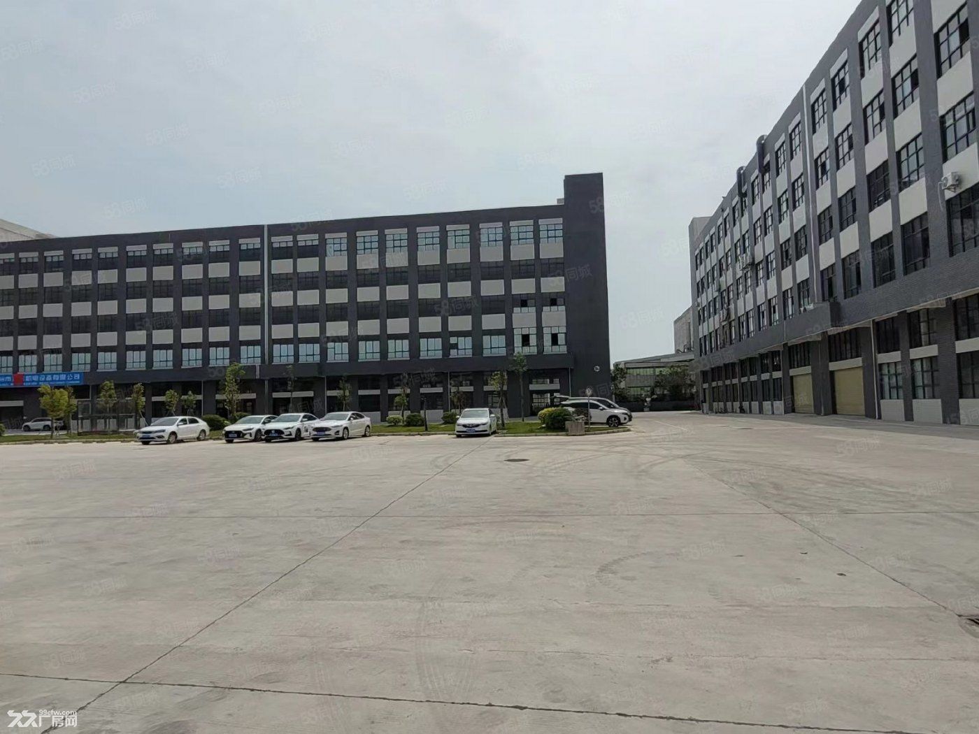 带红本可按揭 1000²-4000² 可分开出售 850²起 高标准厂房出售 - 2